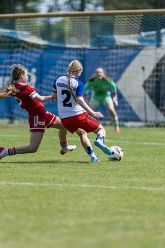 Bild 60 - wBJ HSV Leistungsvergleich